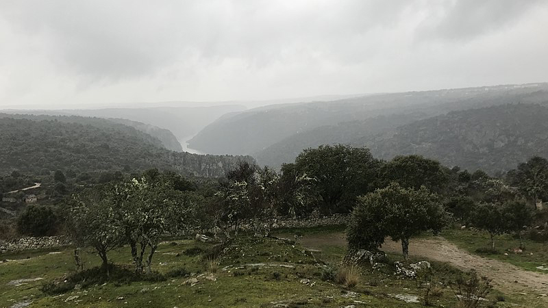 arribes_desde_la_ermita_de_la_virgen_del_castillo